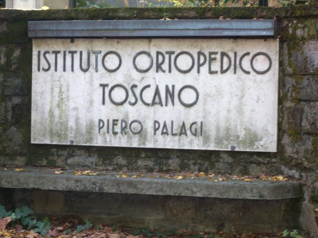 Istituto%20Ortopedico%20Toscano%20Piero%20Palagi%20%281%29.JPG